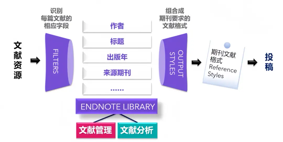 Endnote文献管理软件 中英文版【正版激活码】